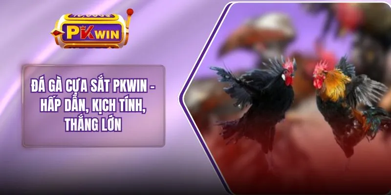 Đá Gà Cựa Sắt PKWIN - Hấp Dẫn, Kịch Tính, Thắng Lớn