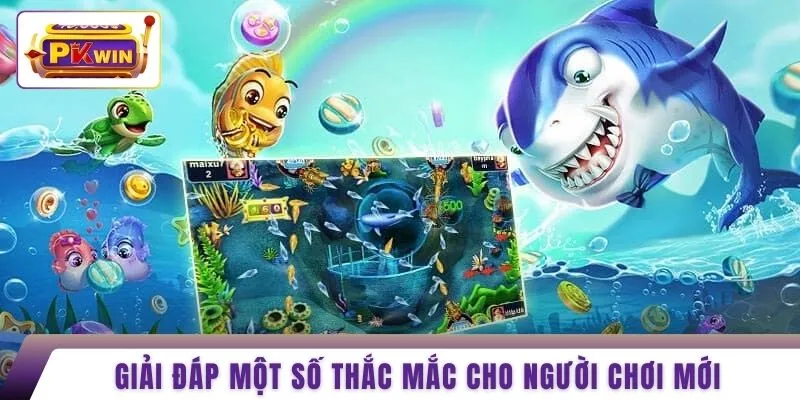 Giải đáp một số thắc mắc cho người chơi mới