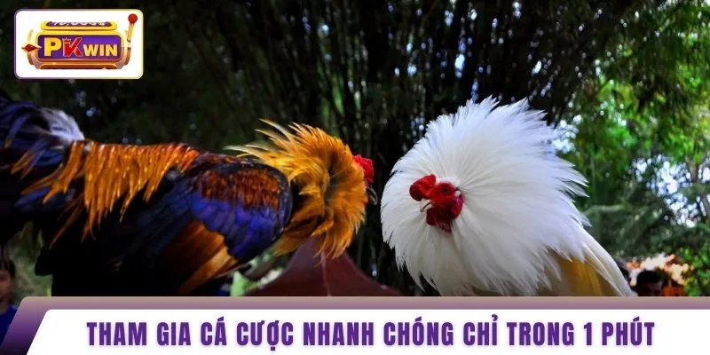 Tham gia cá cược nhanh chóng chỉ trong 1 phút 